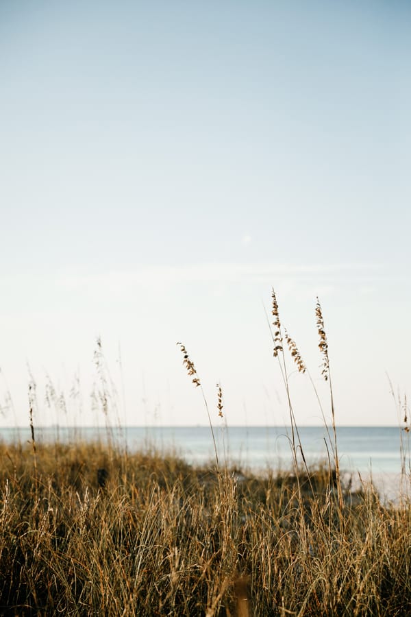 sand dunes