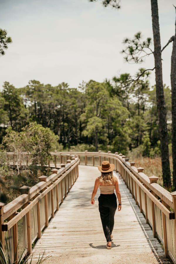 water color boardwalk