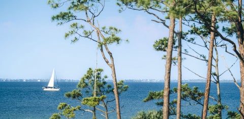 Port St. Joe Beach
