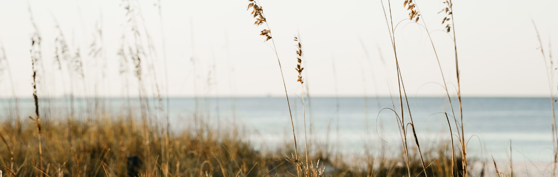 Sand dunes in Miramar Beach. 