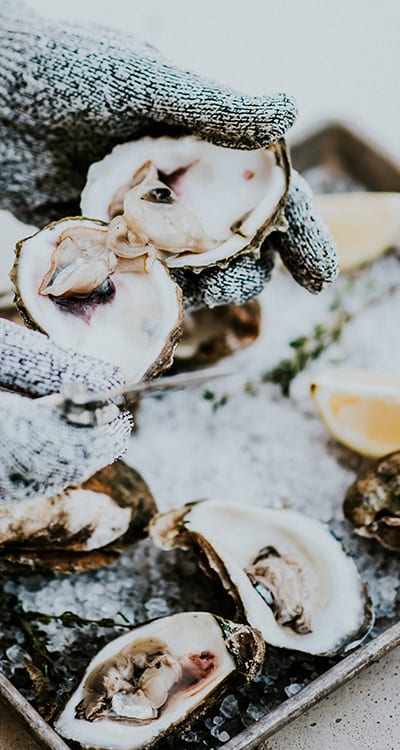 shucking oysters