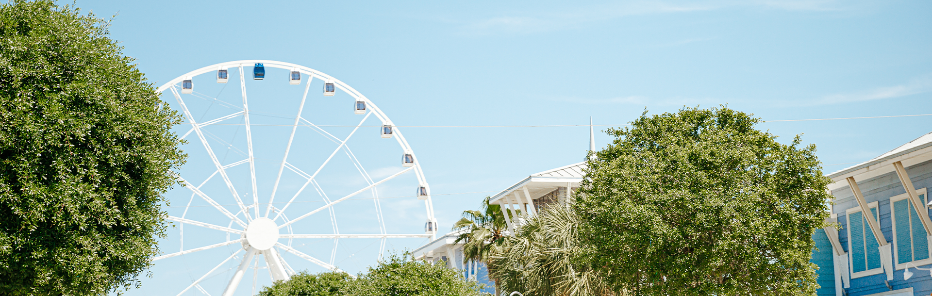 Ferris Wheel in Pier Park. 