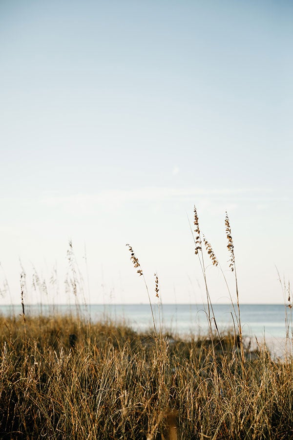 Dunes in Miramar Beach Florida