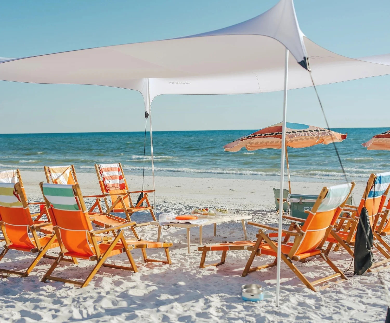 San Flea beach service