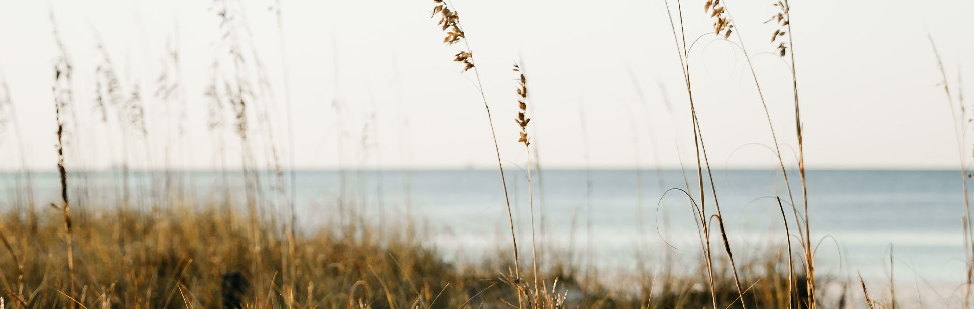 Gulf Pines in Miramar Beach