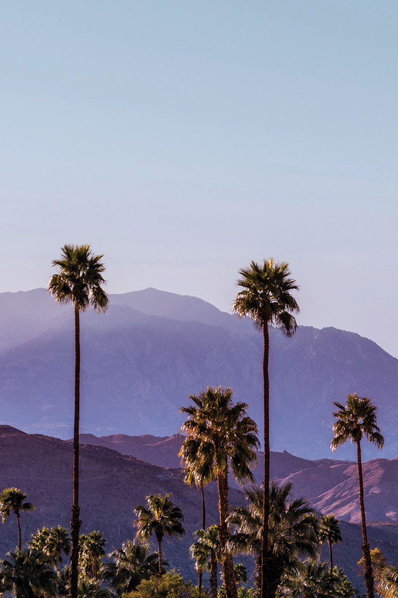 Palm Springs